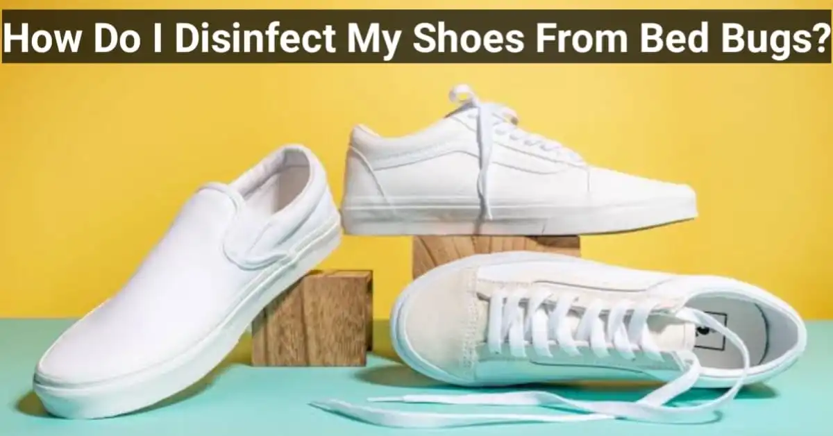 How Do I Disinfect My Shoes From Bed Bugs? A Comprehensive Guide
